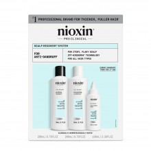 Nioxin Scalp Recovery Kit
